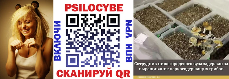 Псилоцибиновые грибы ЛСД  хочу   Каргополь 